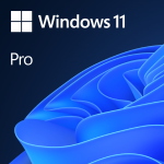 Microsoft Windows 11 Pro Eng (64-bit OEM)